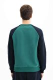 Arma Erkek Regular Fit Bisiklet Yaka Sweatshirt 