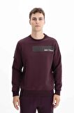 Arma Erkek Regular Fit Bisiklet Yaka Sweatshirt 