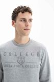 Arma Erkek Regular Fit Bisiklet Yaka Sweatshirt 