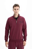 Arma Erkek Büyük Beden Yarım Fermuar Dik Yaka Sweatshirt 