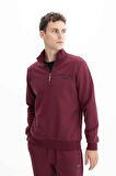 Arma Erkek Büyük Beden Yarım Fermuar Dik Yaka Sweatshirt 