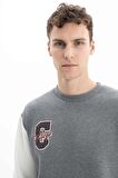 Arma Erkek Relax Fit Bisiklet Yaka Sweatshirt 