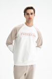 Arma Erkek Regular Fit Şardonsuz 3 İplik Bisiklet Yaka Sweatshirt 