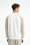 Arma Erkek Regular Fit Şardonsuz 3 İplik Bisiklet Yaka Sweatshirt 