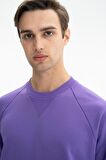 Arma Erkek Regular Fit Şardonsuz 3 İplik Kanguru Cepli Bisiklet Yaka Sweatshirt 