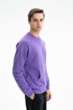Arma Erkek Regular Fit Şardonsuz 3 İplik Kanguru Cepli Bisiklet Yaka Sweatshirt 