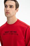 Arma Erkek Regular Fit Şardonsuz 3 İplik Bisiklet Yaka Sweatshirt 