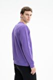 Arma Erkek Regular Fit Şardonsuz 3 İplik Bisiklet Yaka Sweatshirt 