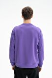 Arma Erkek Regular Fit Şardonsuz 3 İplik Bisiklet Yaka Sweatshirt 
