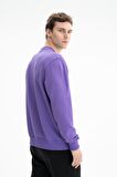 Arma Erkek Regular Fit Şardonsuz 3 İplik Bisiklet Yaka Sweatshirt 