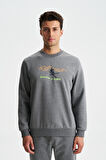 Arma Erkek Regular Fit 3 İplik Şardonlu Pamuklu Bisiklet Yaka Sweatshirt 