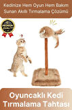 Özel Üretim Dayanıklı Eğlenceli 14x14 cm En 26 cm Yükseklik Sesli Oyuncaklı Kedi Tırmalama Tahtası