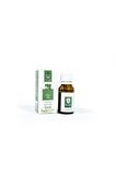 Panlife Elemi Yağı 15 ml