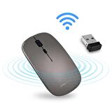 Polosmart PSWM13 Hybrid Bluetooth & Wireless Şarj Edilebilir Mouse K.Gri