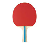 Stiga Bat Instınct Hobby Masa Tenis Raketi 1210-6318-01