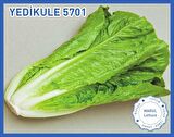 Biogen Yedikule Marul Tohumu 10gr 1 Paket