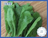 Biogen Tere Tohumu 25gr 1 Paket