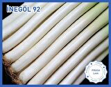 Biogen Pırasa Tohumu İnegöl92 10GR 1 Paket