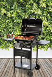 Kiwi Izgaralı Barbekü KG-5881