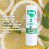 Siveno %100 Doğal Dudak Koruyucu Nane & Limon Bitkisel Lipbalm Krem Nemlendirici Parlatıcı Onarıcı 6 G