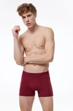 Erkek Gri 2 Li Pamuk Elastan Boxer 075