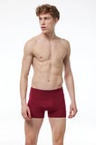 Erkek Gri 2 Li Pamuk Elastan Boxer 075