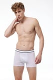 Erkek Gri 2 Li Pamuk Elastan Boxer 075