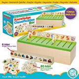 Circle Toys Ahşap Bilgi Sınıflandırma Kutusu