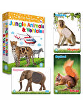 Circle Toys Dokun Hisset Orman Hayvanları ve Araçlar