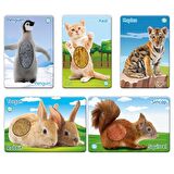 Circle Toys Dokun Hisset Yavru Hayvanlar