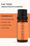 Bade Natural Saf Neşe Aromaterapi Karışımı 10 ml