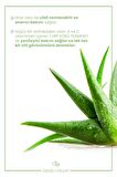 Bade Natural Doğal Roll On Hassas Ciltler İçin Ter Kokusu Önleyici Koltuk Altı Deodorant %100 Doğal ve Vegan 50 ml