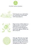 Sleep Tea Uyku Öncesi Rahatlatıcı Pasifloralı Bitki Çayı 4'lü Paket