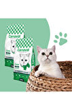 Kaliteli Ekonomik 2 li Paket Premium Yetişkin Kedi Maması Tavuk-Balık 2x1.5 Kg