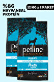 Petline Pretty Puppy Somonlu Yavru Kuru Köpek Maması 24Kg (2x12Kg) Tüm Irklar İçin