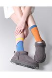 Kadın The Socks Company Renkli Çorap 22KDCR256K