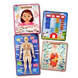 4 Set  127 Parça Tox İskelet , İç Organlar Sistemi , Takvim ve Duyguları Öğreniyorum Keçe Cırtlı Duvar Panoları , Eğitici Oyuncak