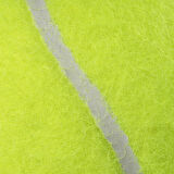 USR Focus Tenis Topu 24 Kutu