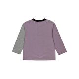 Panço Erkek Bebek Uzun Kollu Blok Barçalı T-shirt