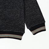 Panço Erkek Bebek Dik Yaka Fermuarlı Arma Detay Sweatshirt