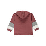 Panço Erkek Çocuk Yarım Fermuarlı Baskı Detaylı Sweatshirt Gül Kurusu