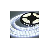 HELİOS 3 ÇİPLİ BEYAZ ŞERİT LED İÇ MEKAN 10 MT