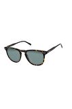Lee Cooper LC1464.C2 51 Unisex Güneş Gözlüğü