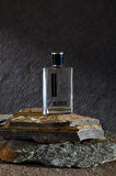 At-45 Davdoff Silvers Shasdow Edp 100 ml Erkek Parfümü