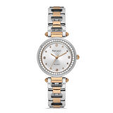 Ferrucci FER.03629M.06 Çelik Kordon Kadın Kol Saati