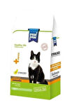 Sterilised Kısırlaştırılmış Somonlu Kedi Maması 1 Kg