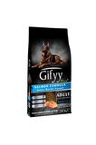 Gifyy Puppy Somonlu Tüm Irklar Yetişkin Kuru Köpek Maması 15 kg