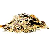 Açlık Otu - Erkek Sinameki 100 Gr Paket