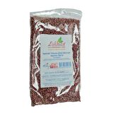 LokmanAVM Ispanak Tohumu (Zirai Ekim için ilaçlıdır) 100 Gr Paket