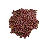 Ispanak Tohumu Zirai Ekim İçin İlaçlıdır 100GR